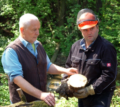 Herbert Kolb und Werner Stichauer mit dem Stamm eines Maulbeerbaums